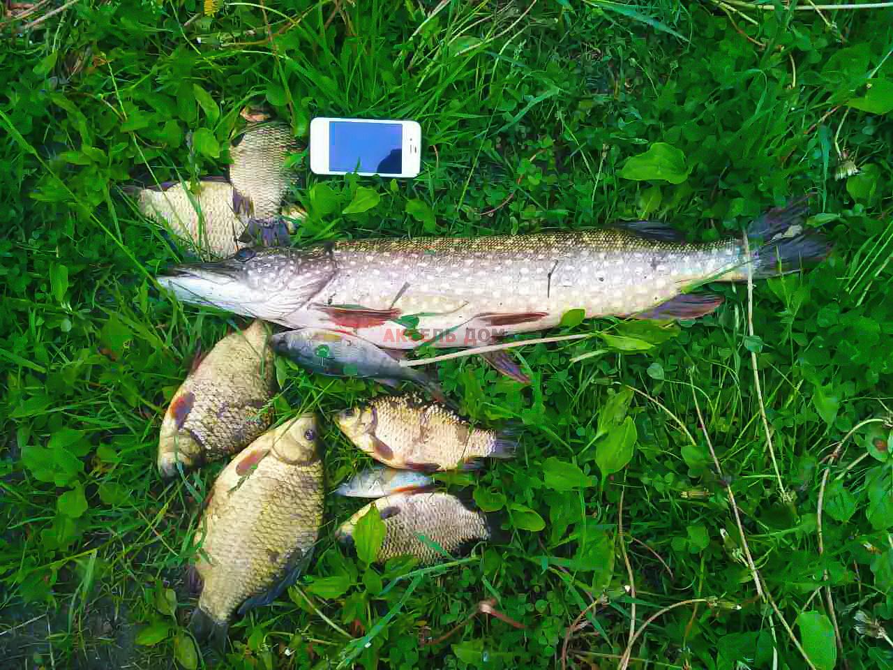 рыбалка во Владимирской области
